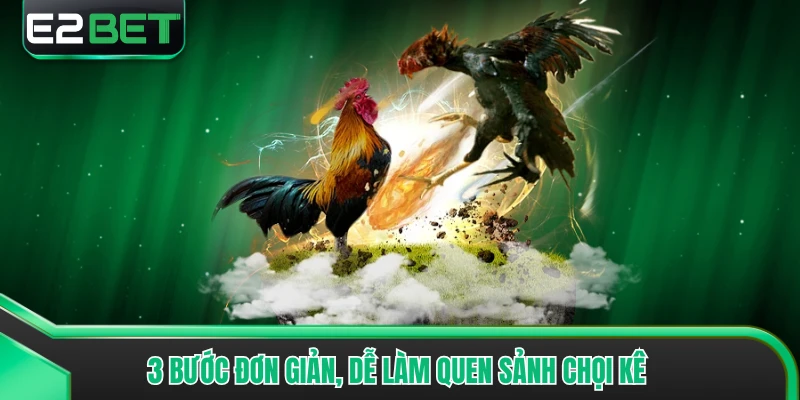 3 bước đơn giản, dễ làm quen sảnh chọi kê