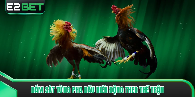 Bám sát từng pha đấu biến động theo thế trận