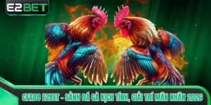 CFA88 E2BET - Sảnh Đá Gà Kịch Tính, Giải Trí Mãn Nhãn 2026