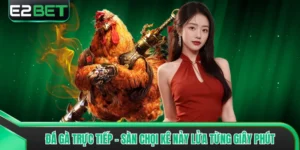 Đá Gà Trực Tiếp - Sàn Chọi Kê Nảy Lửa Từng Giây Phút