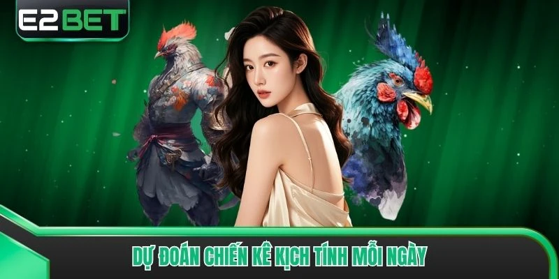 Dự đoán chiến kê kịch tính mỗi ngày