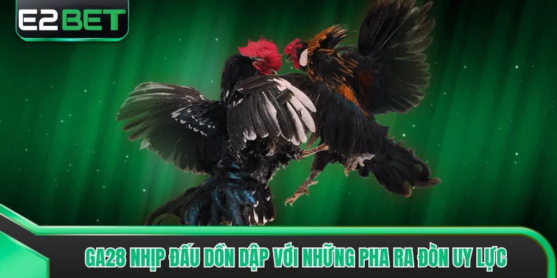 GA28 nhịp đấu dồn dập với những pha ra đòn uy lực