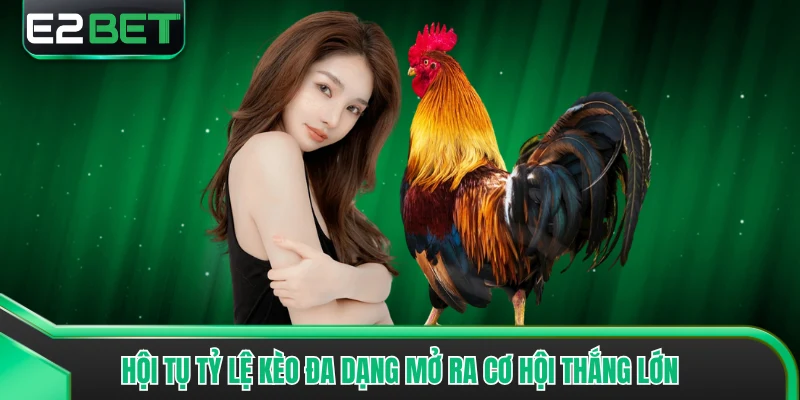 Hội tụ tỷ lệ kèo đa dạng mở ra cơ hội thắng lớn