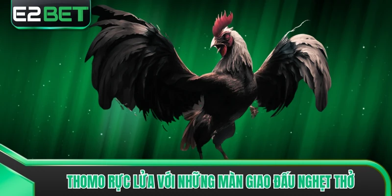 Thomo rực lửa với những màn giao đấu nghẹt thở